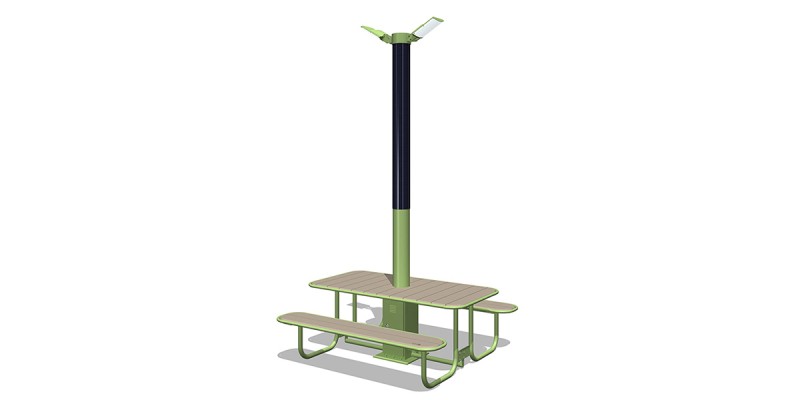 FSL-DD80-PLs-SF-PT